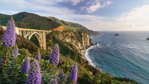 Un puente costero con montañas al fondo y flores moradas en primer plano.