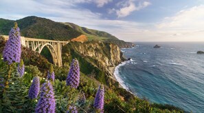 A coastal bridge with a mountainous backdrop and purple flowers in the foreground.