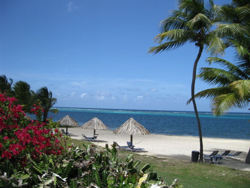 A beach with thatched umbrellas, lounge chairs, and palm trees.