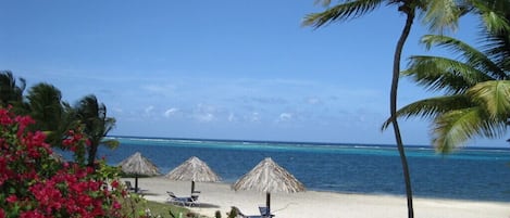 Una playa con sombrillas de paja, sillas de descanso y palmeras.