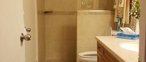 A bathroom with a shower, toilet, and vanity.