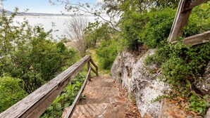 Eine Steintreppe mit Holzgeländern führt zu einer Aussichtsplattform.