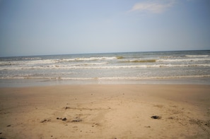 Playa
