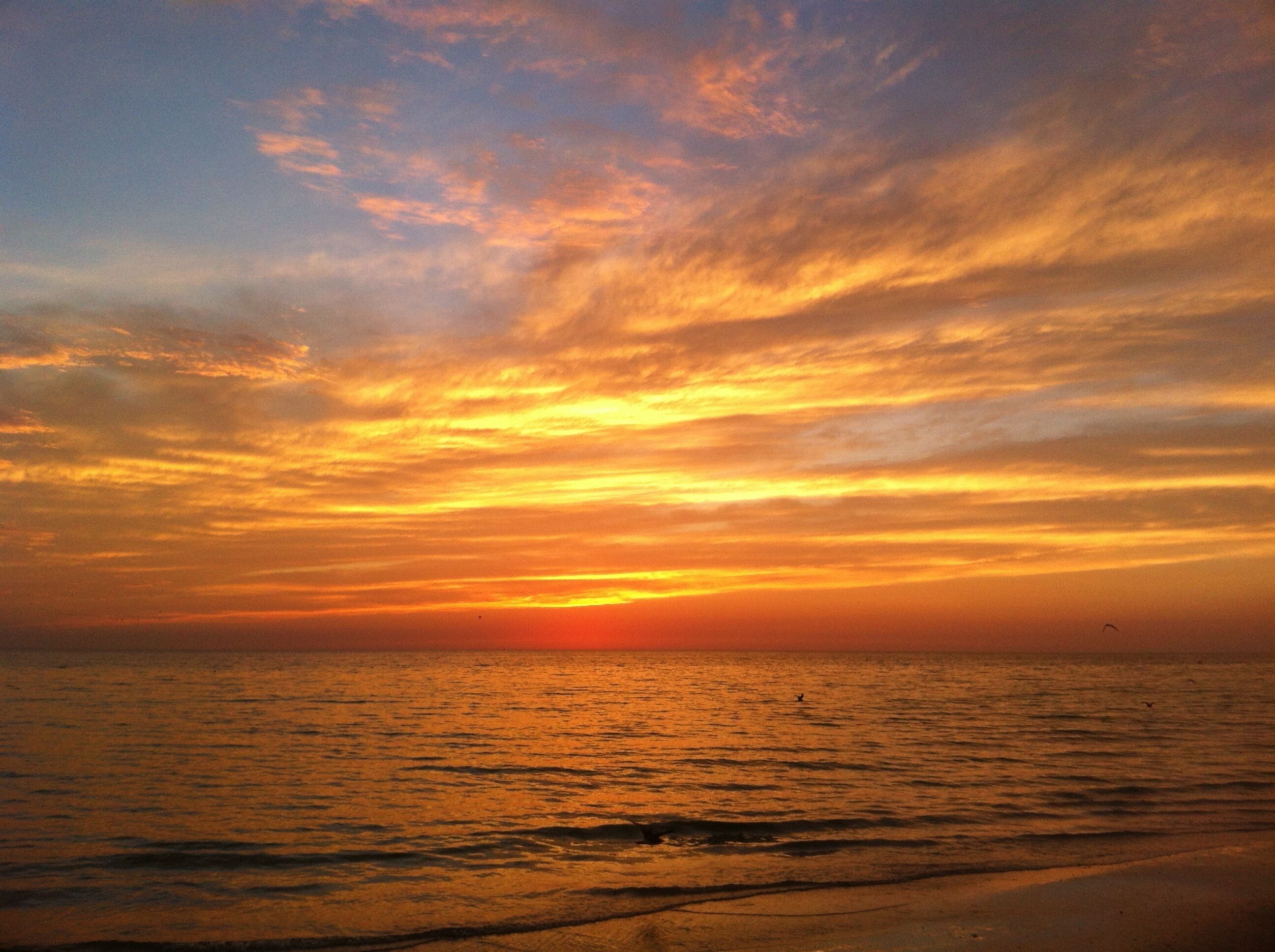 On the beach, sun-loungers