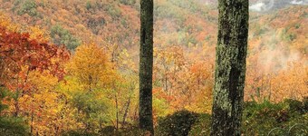 Romantic Log Cabin with Mountain Views! Dog Friendly