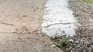 A concrete pathway leading to a wooden structure with a metal railing.