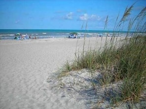 On the beach, sun-loungers