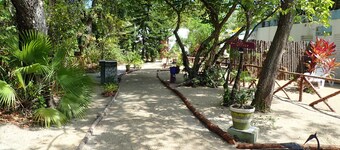 Jungle experience in modern setting in Maya Beach