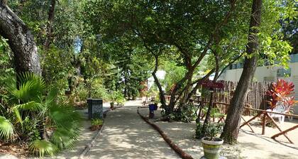 Jungle experience in modern setting in Maya Beach
