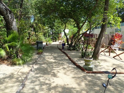 Jungle experience in modern setting in Maya Beach