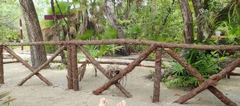 Jungle experience in modern setting in Maya Beach