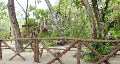 Dschungelerlebnis in modernem Ambiente in Maya Beach