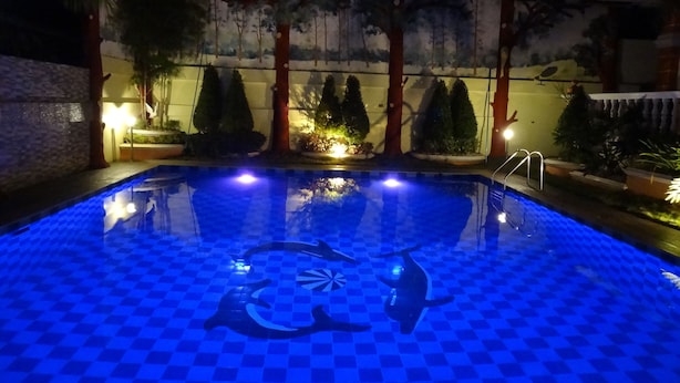 A swimming pool with a checkered pattern and dolphin designs, surrounded by potted plants and trees. - The Executive Villa Inn & Suites (Davao)