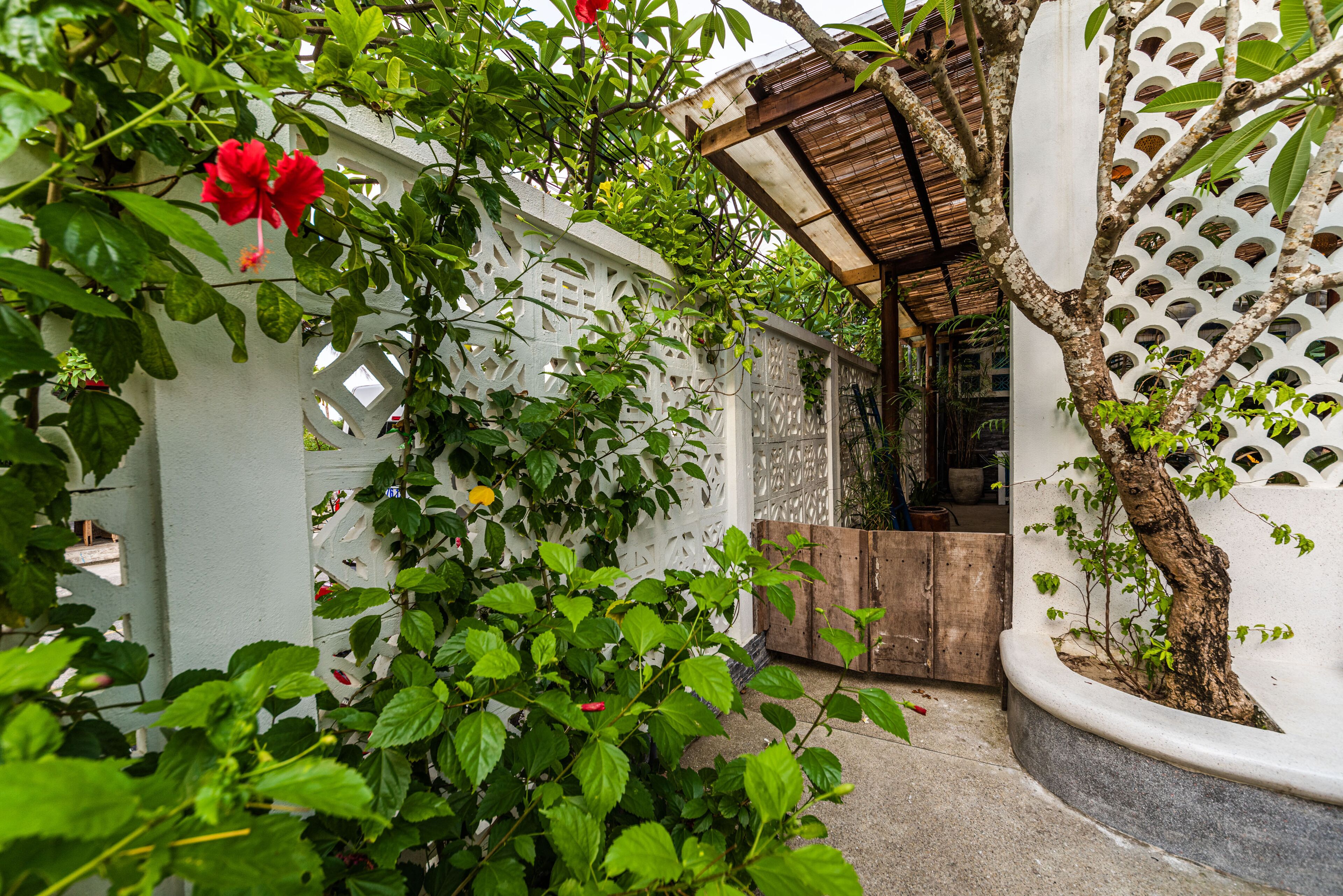 family suite | terrace/patio