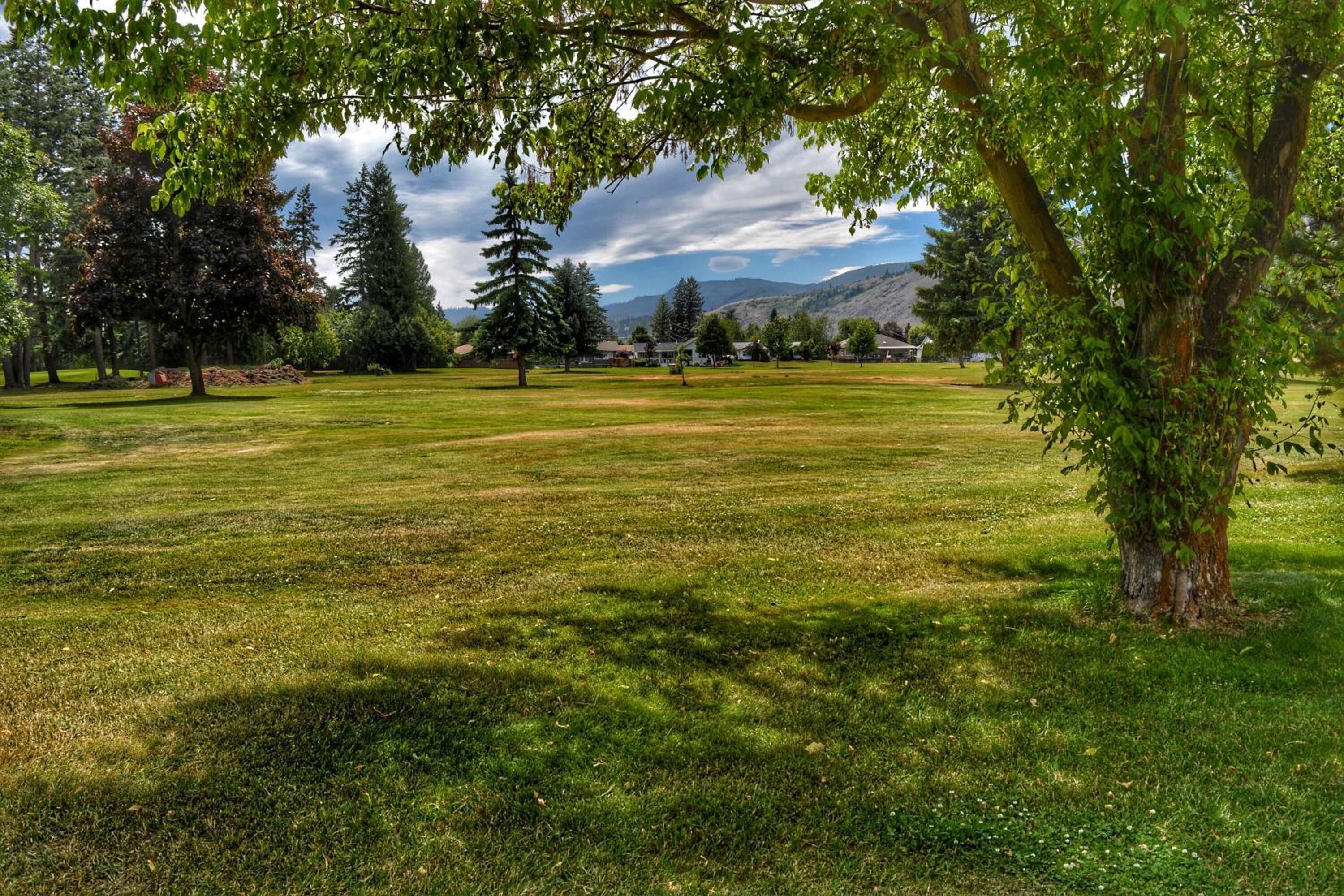 A grassy park with trees and a distant view of houses and mountains.