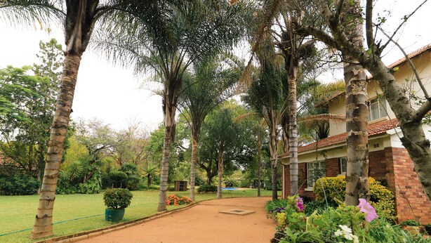 Un sendero lleva a un edificio rodeado de abundante vegetación y palmeras.