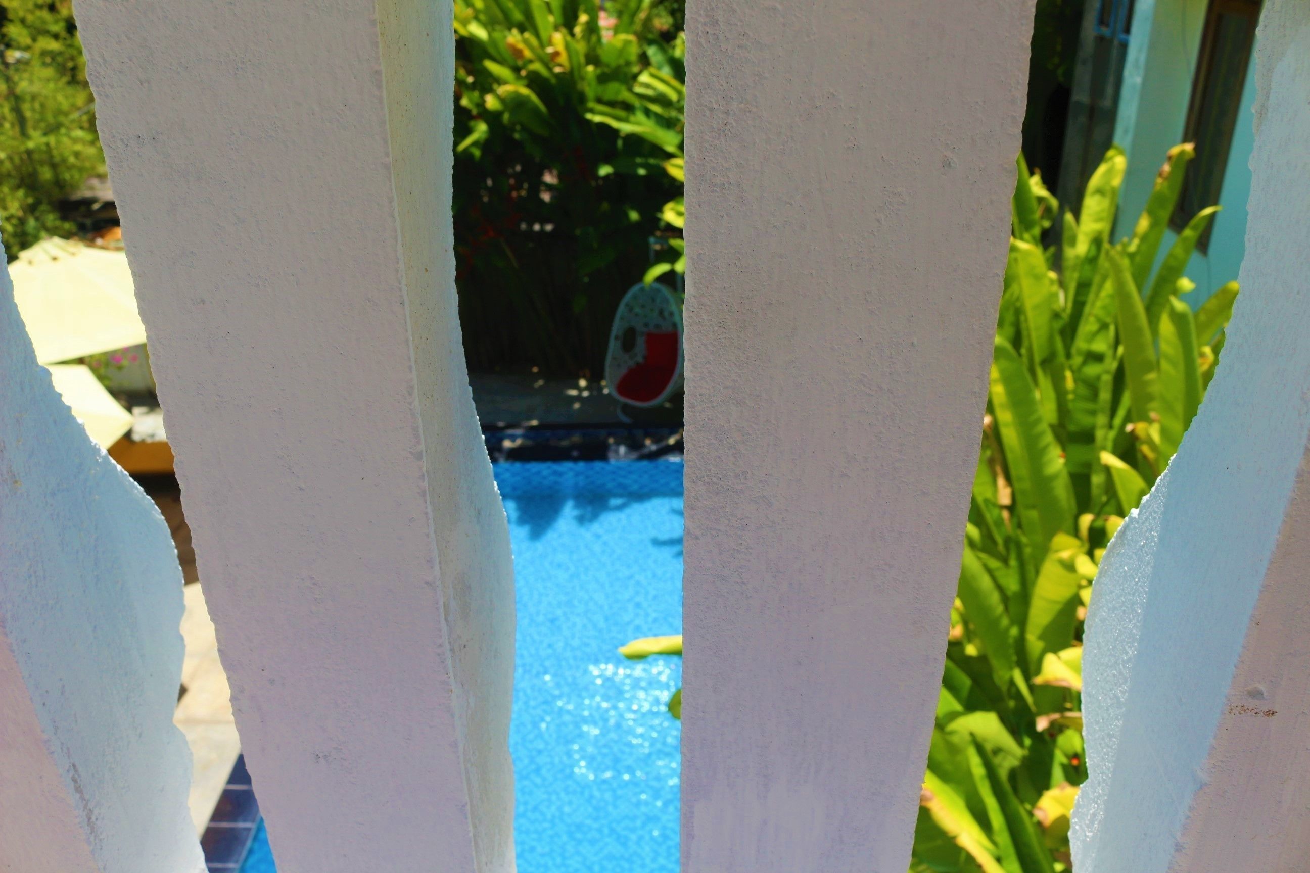 Vista a través de una cerca blanca, con una piscina azul y plantas verdes al fondo.