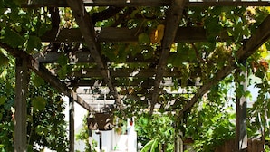 A covered garden pathway with a table and chairs, surrounded by a wooden pergola and a fence. - Studios Margarita (Messini)