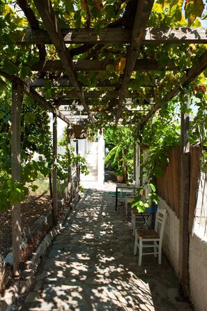 Estudio Confort, 1 habitación, vista al jardín | Terraza o patio