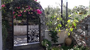 A stone wall with a wrought iron gate, a potted plant, and a street lamp. - Studios Margarita (Messini)