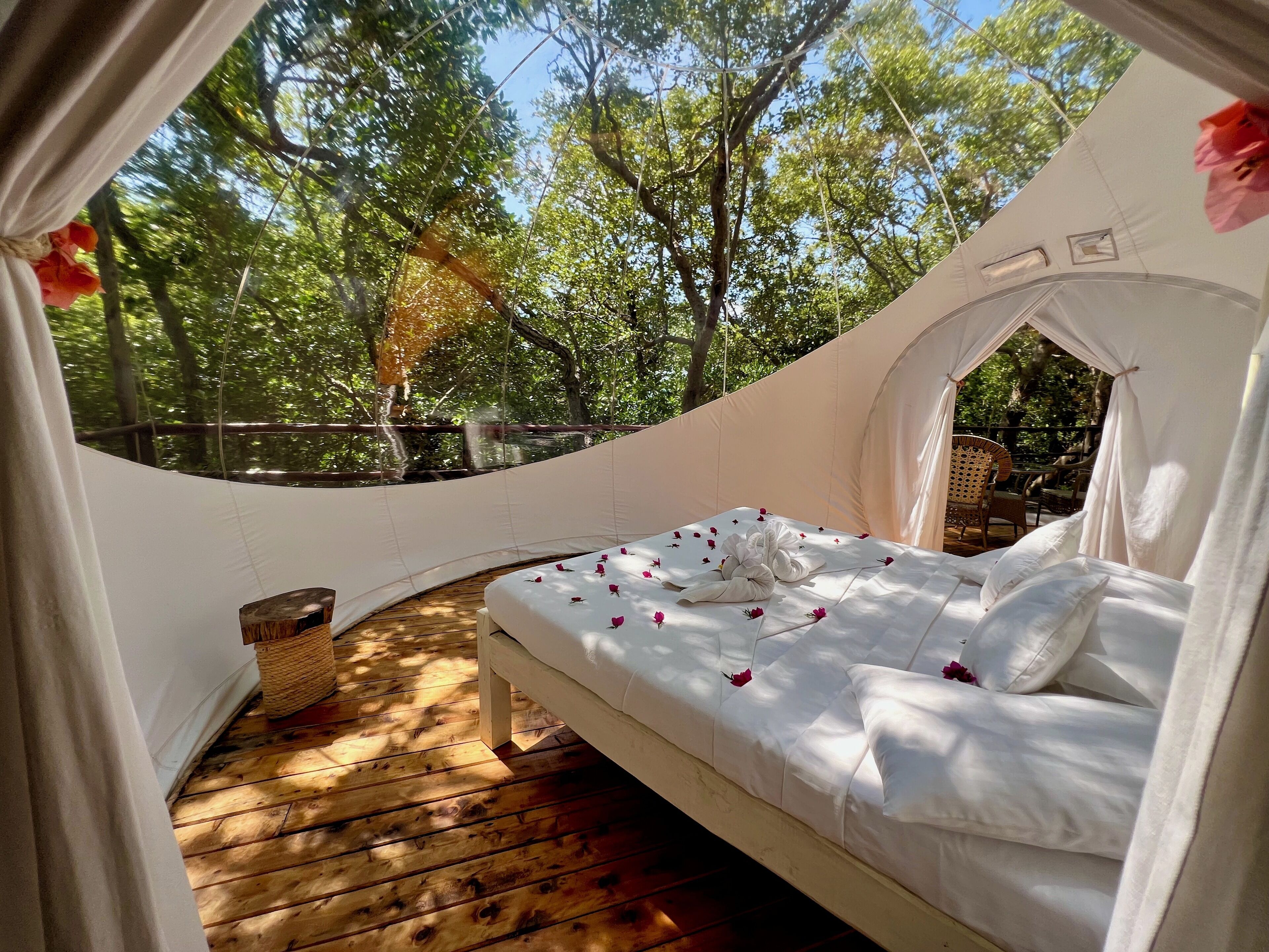 A cozy, circular tent with a bed inside, surrounded by wooden flooring and a view of trees.
