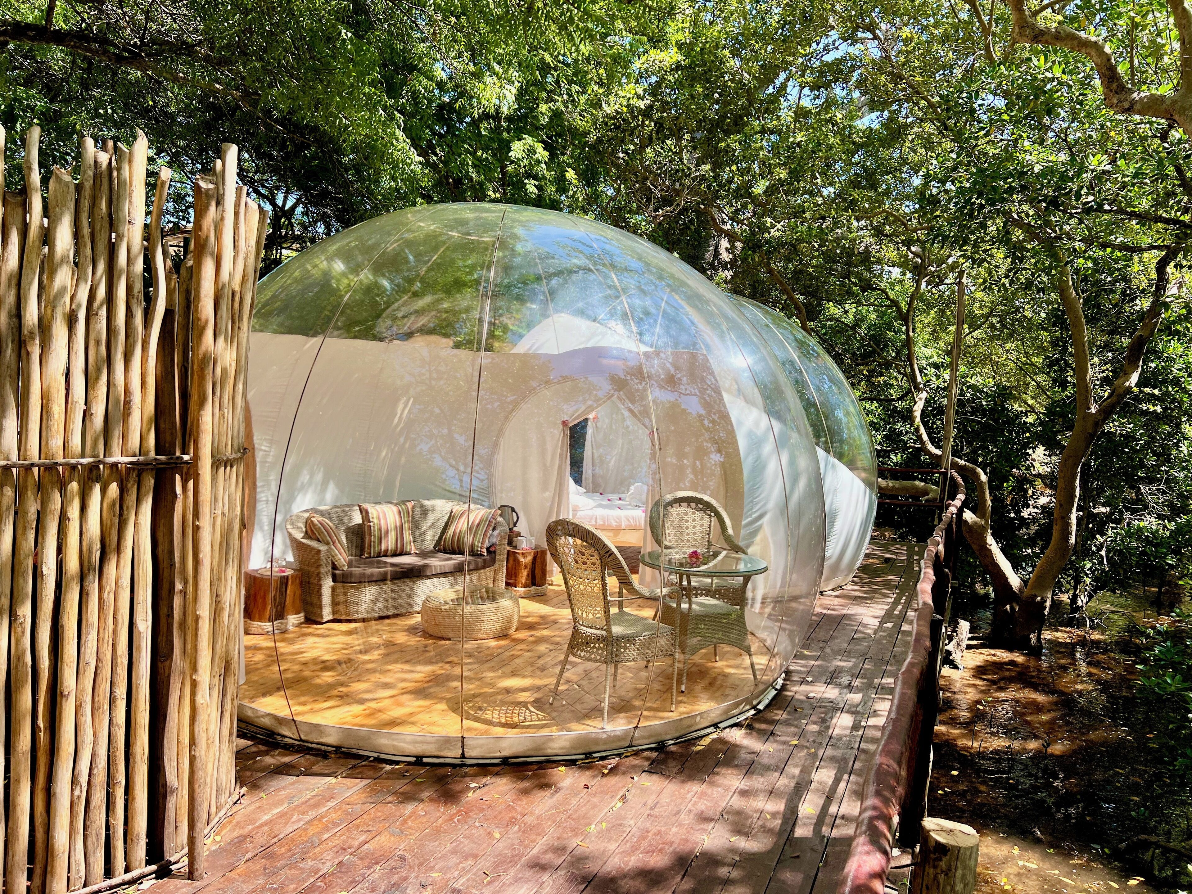 Tenda panoramica, 1 letto king, sull'acqua | Biancheria in cotone egiziano, biancheria da letto di alta qualità