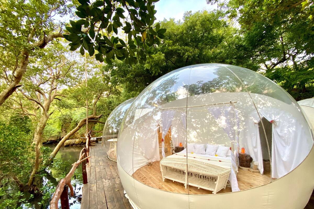 Una estructura en forma de cúpula transparente con una cama y una pequeña mesa, rodeada de abundante follaje y una terraza de madera.