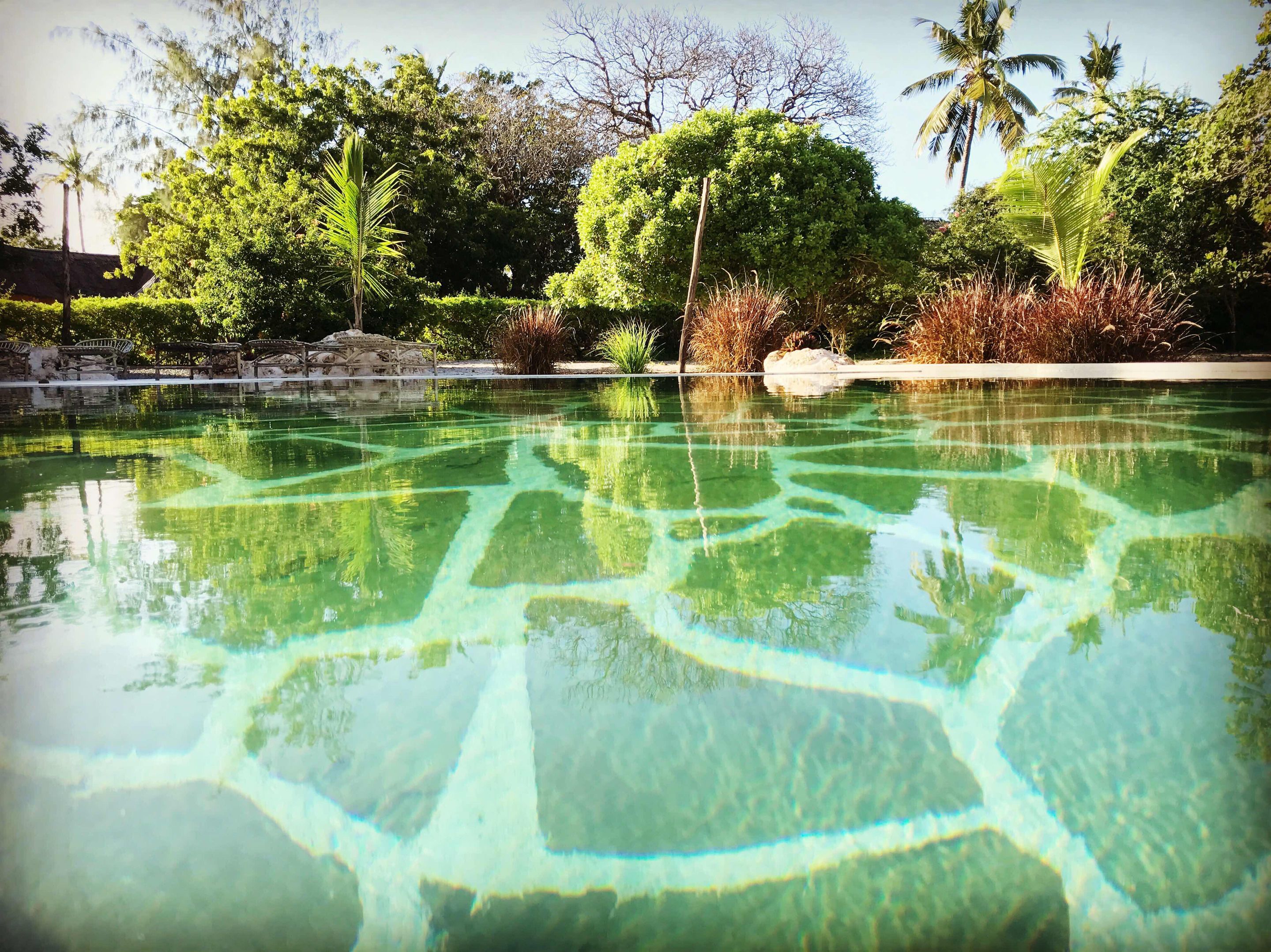 Una piscina cristalina con reflejos de árboles circundantes y una estructura de piedra.