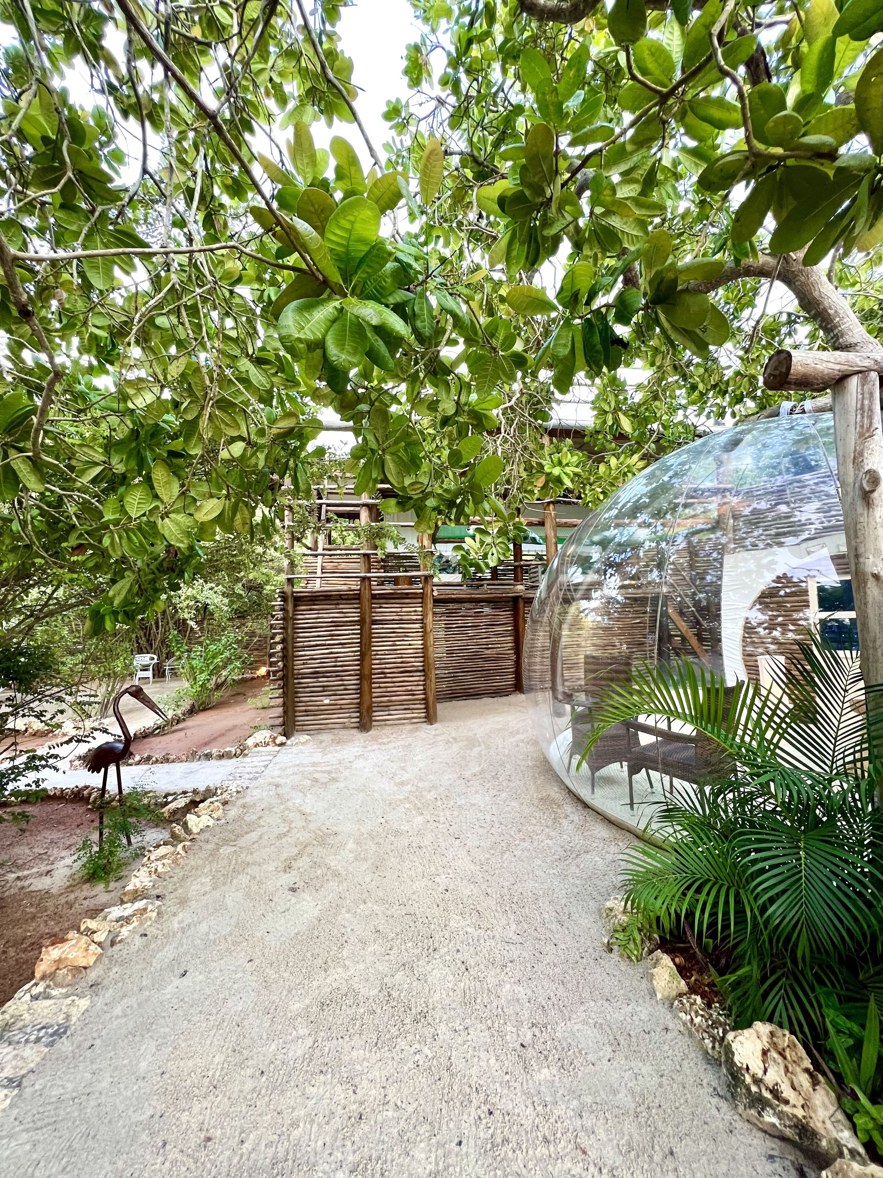 A pathway leading to a wooden gate, surrounded by lush greenery and a large transparent dome structure.