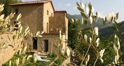 Agriturismo Pian di Fiume