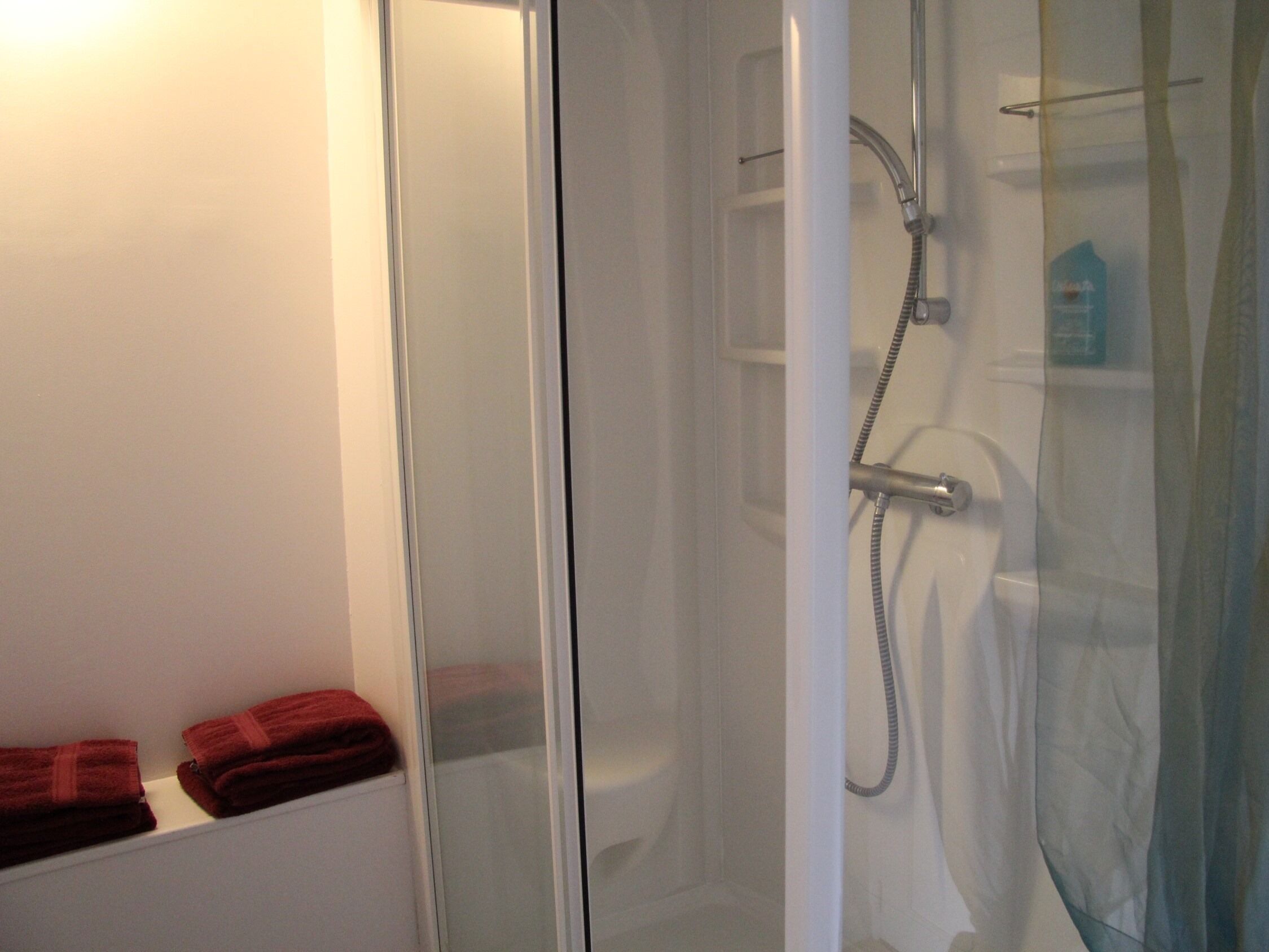 A glass-enclosed shower with a handheld showerhead and a wall-mounted faucet.