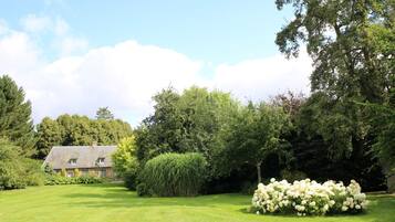 Une pelouse verdoyante avec un arbuste aux fleurs blanches, une maison avec un toit gris et, au fond, de grands arbres aux feuillages denses.