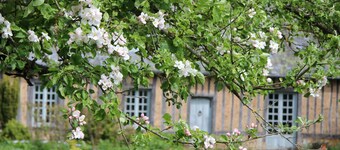 Le Pommenial de la Hérissonnière