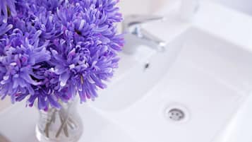 Ducha, artículos de higiene personal gratuitos y secador de pelo