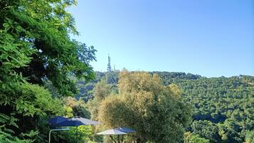 Vistas al parque
