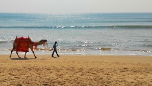 A beach with a camel and a person walking. - Om Leisure Resort Puri (Brahmagiri)