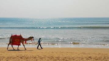 Beach nearby