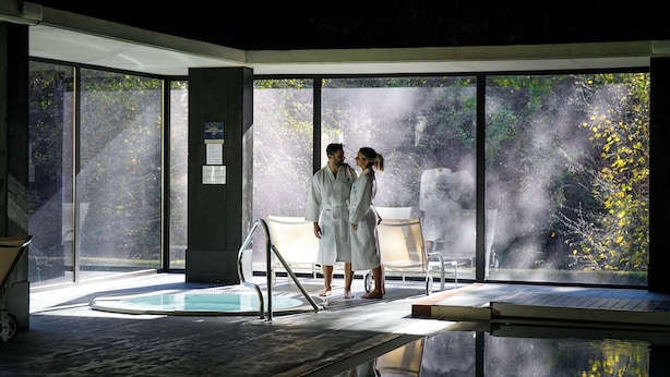 Un espacio de spa con piscina, ventanas amplias y vistas a árboles.