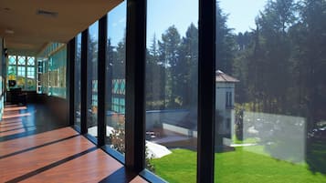 Vista desde la propiedad