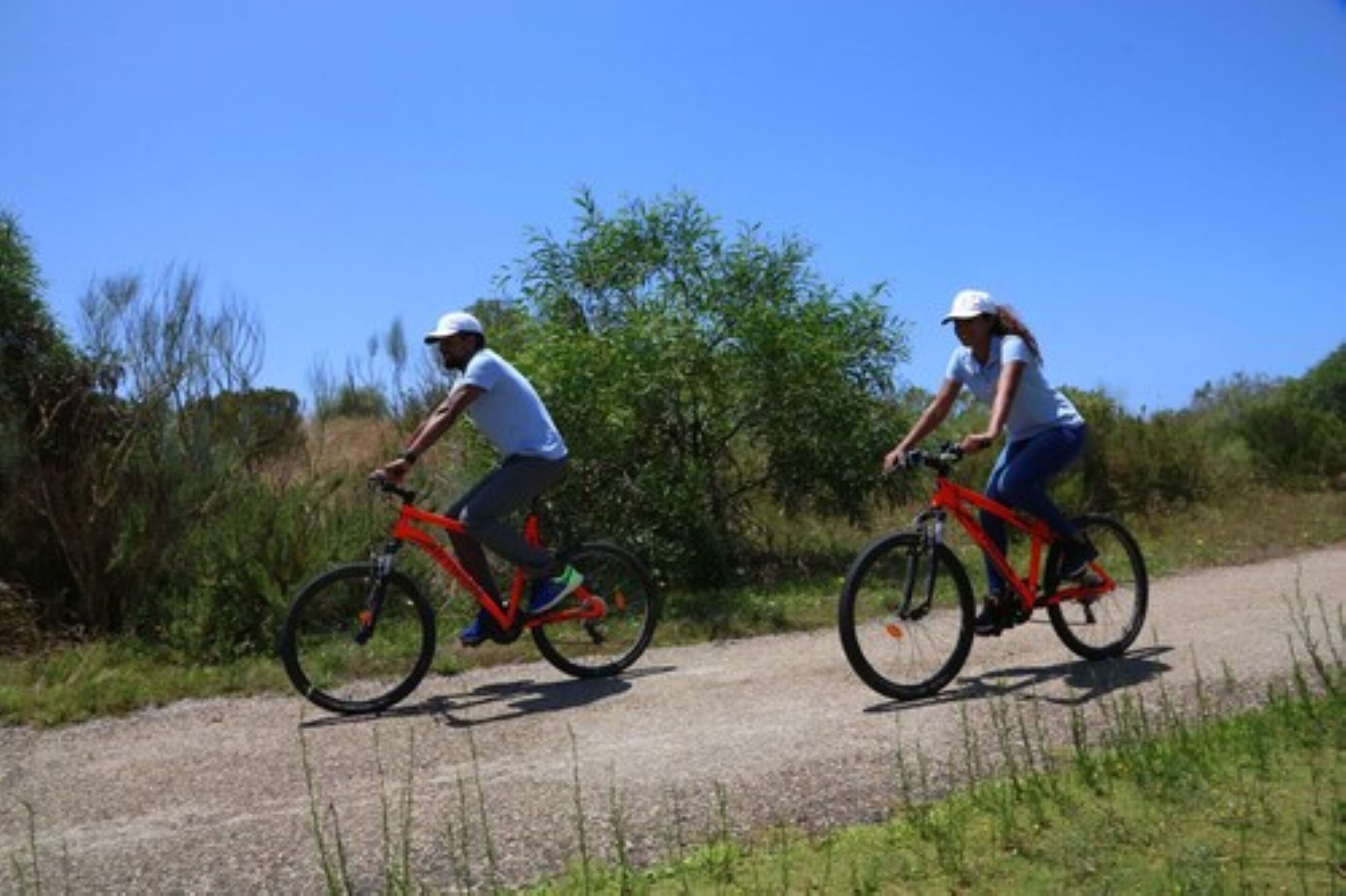 Two people riding bicycles on a gravel path surrounded by greenery.