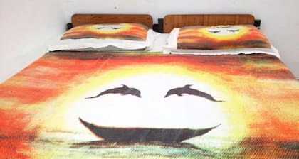 20 House Arugam