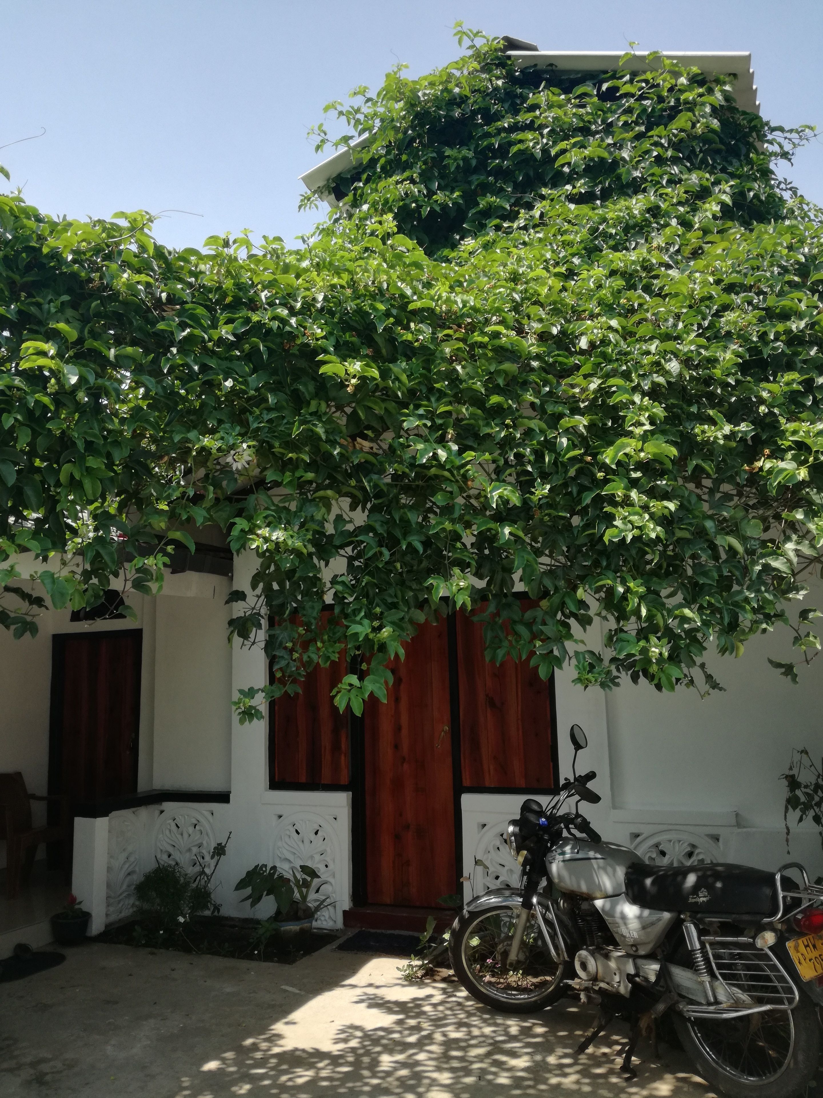 Entrada al alojamiento