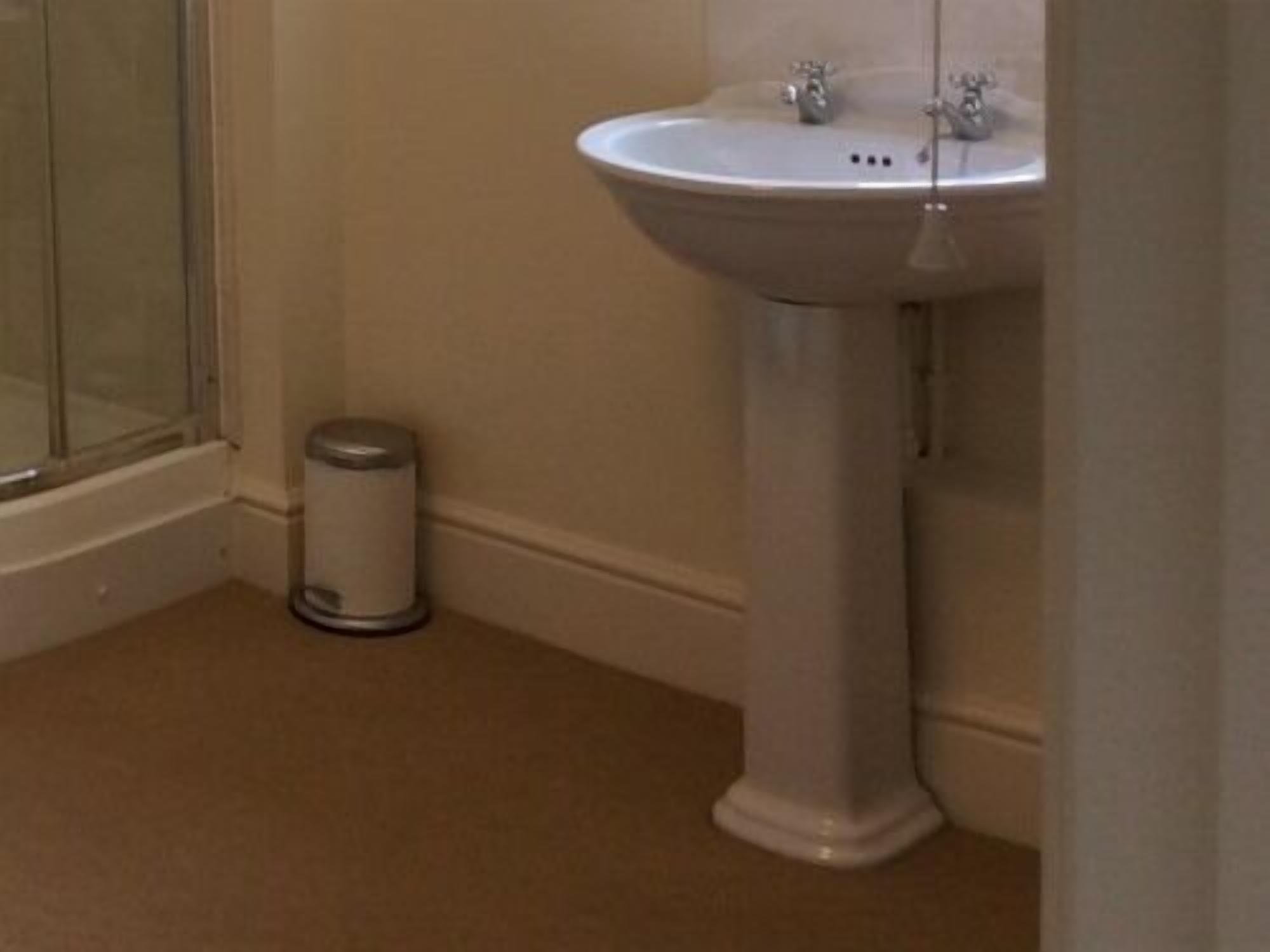 A bathroom with a white pedestal sink, a glass shower enclosure, and a trash can.