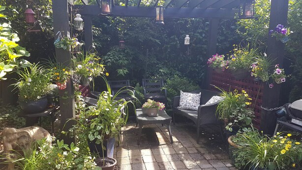 Garden - Mount Pleasant Bed and Breakfast (Vancouver)