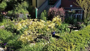 Property entrance - Mount Pleasant Bed and Breakfast (Vancouver)