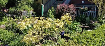 Mount Pleasant Bed and Breakfast