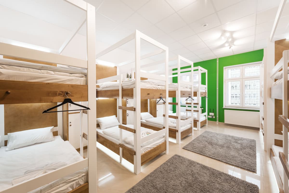 A dormitory with bunk beds, a green accent wall, and a large window.