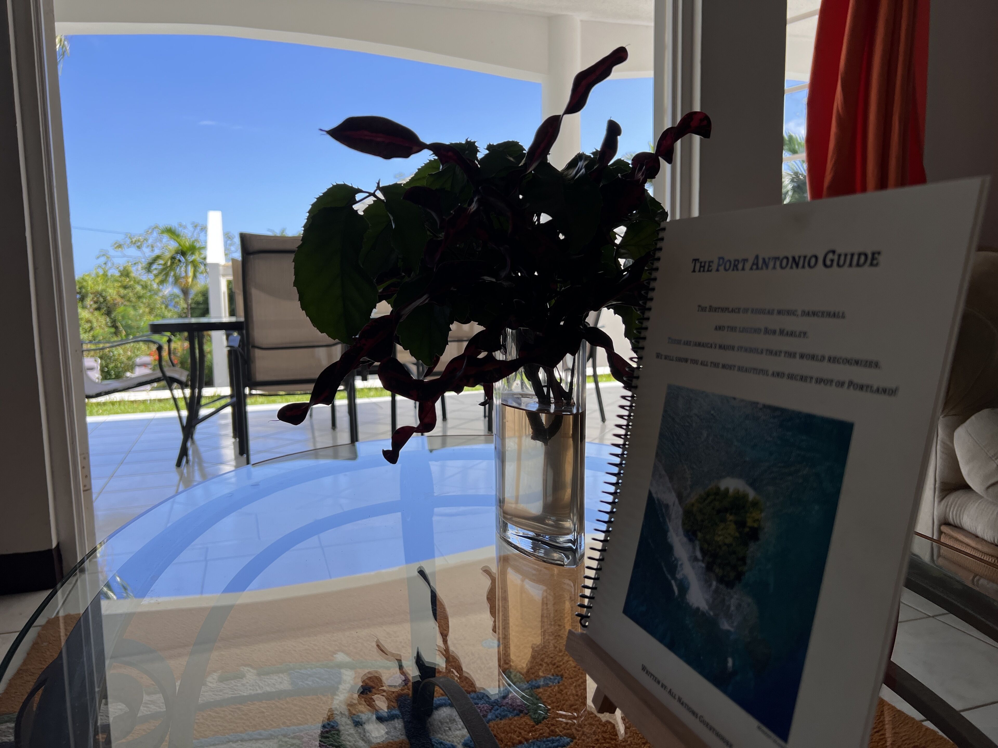 Una mesa de vidrio con una planta en maceta y una guía titulada "The Port Antonio Guide".