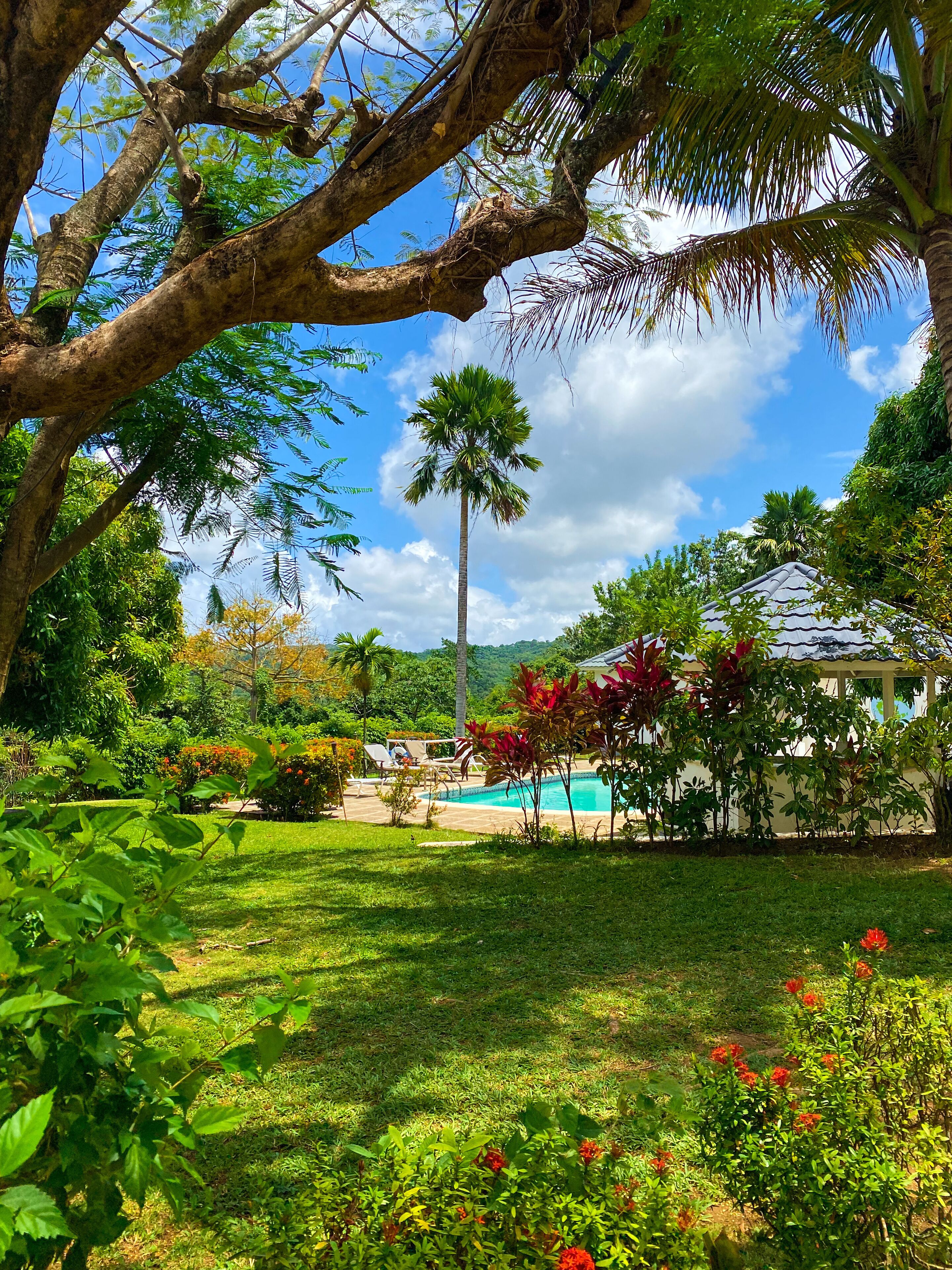 Jardin