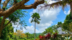 A lush garden with a swimming pool, palm trees, and a clear blue sky. - All Nations Guesthouse (Port Antonio)